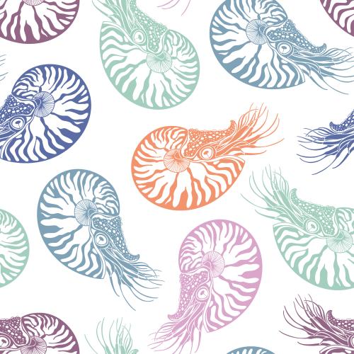 Vector image multicolored silhouettes on white nautiluses